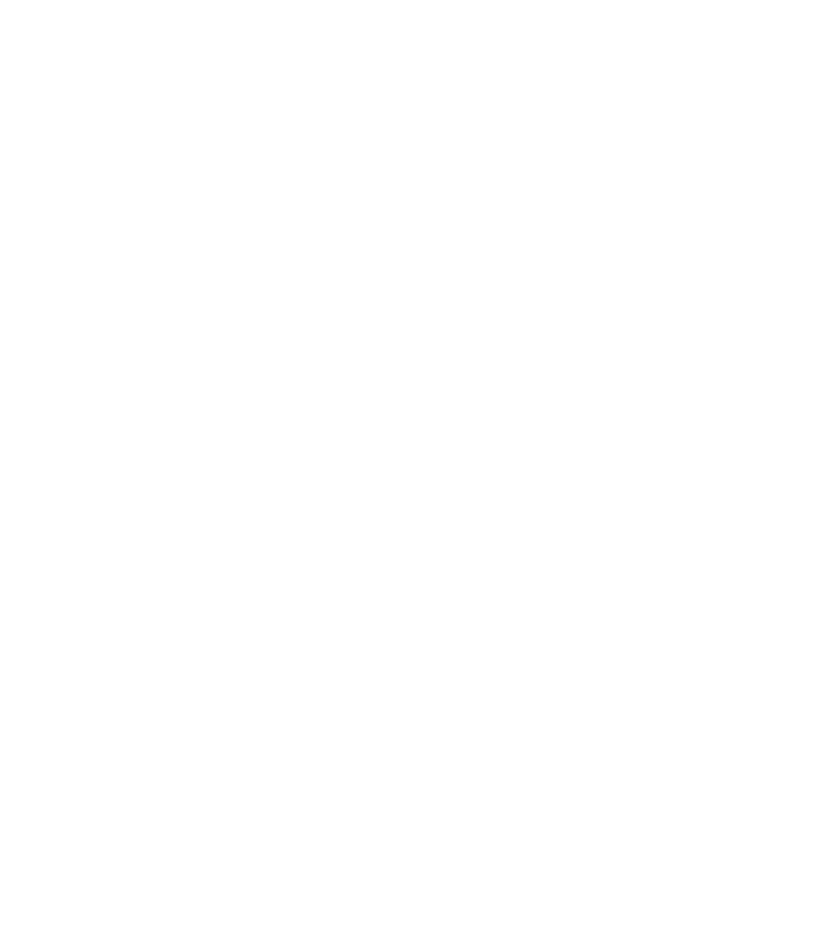 Logo Jiu-Jitsu